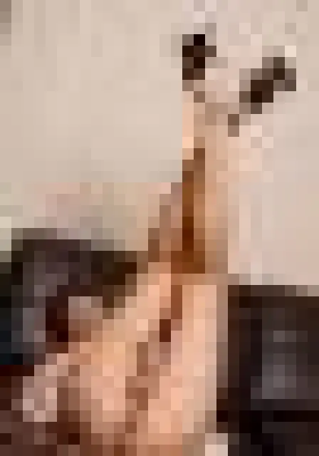 Zena37 image 0