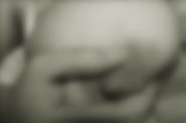 micettasex image 2